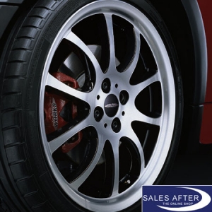 wheel set MINI R5x Double Spoke R105 + Bridgestone