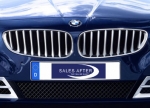BMW Z4 E89 front grille in titanium