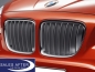 Preview: BMW X1 E84 Front grille X-Line from 07/2012