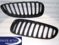 Preview: BMW Z4 E89 Front grille in black