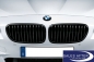 Preview: BMW M Performance F10 F11 Front grille in black