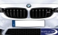 Preview: BMW M Performance 3 series F80 M3 Front grille in black