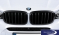 Preview: BMW M Performance X5 F15 X6 F16 Front grille in black