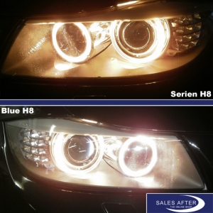Genuine BMW Blue halogen lamps, 2x H8