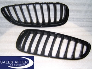 BMW Z4 E89 Front grille in black