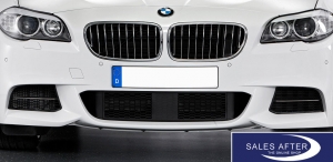 BMW F10 F11 Set M grille front left and right side, M550d