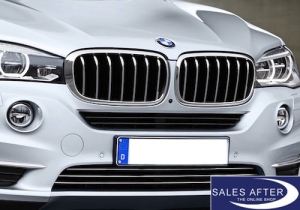 BMW X5 F15 Front grille PURE EXCELLENCE