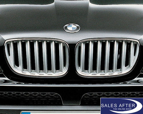 Salesafter The Online Shop Bmw X5 E53 Front Grille In Titanium
