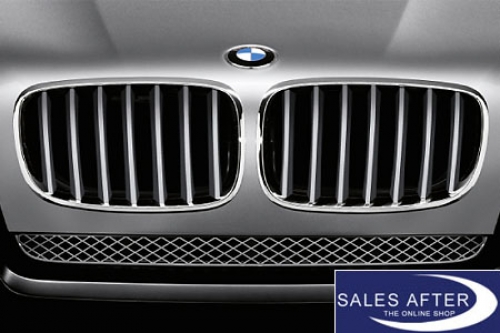 BMW X5 E70 X6 E71 front grille in titanium