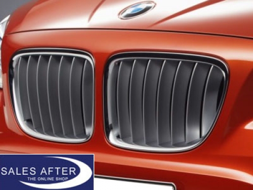 BMW X1 E84 Front grille X-Line from 07/2012