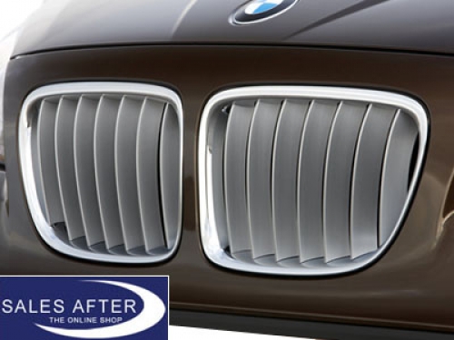 BMW X1 E84 Front grille X-Line HIGH till 07/2012