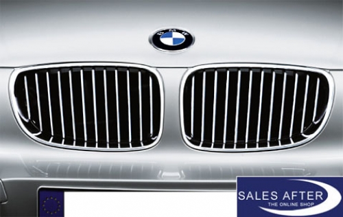 BMW 1 series E8x Front grille in chrome