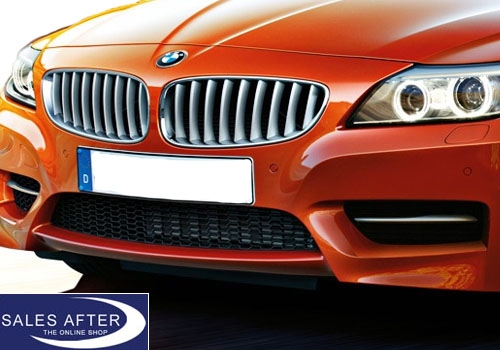 BMW Z4 E89 Set M grille front left and right side, 35is