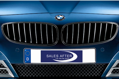 BMW Z4 E89 Front grille in black