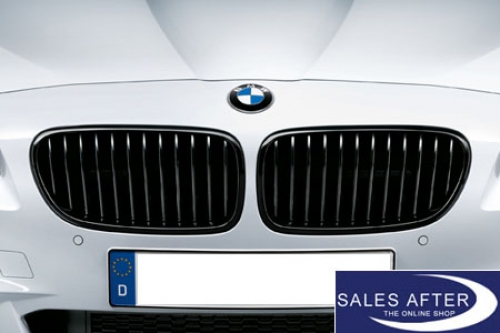 BMW M Performance F10 F11 Front grille in black