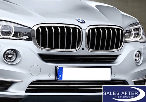 BMW X5 F15 Front grille PURE EXCELLENCE