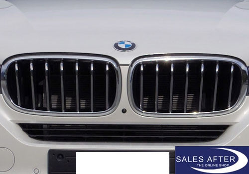 BMW X5 F15 Front grille PURE EXCELLENCE