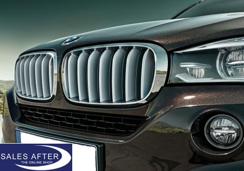 BMW X5 F15 Front grille PURE EXPERIENCE