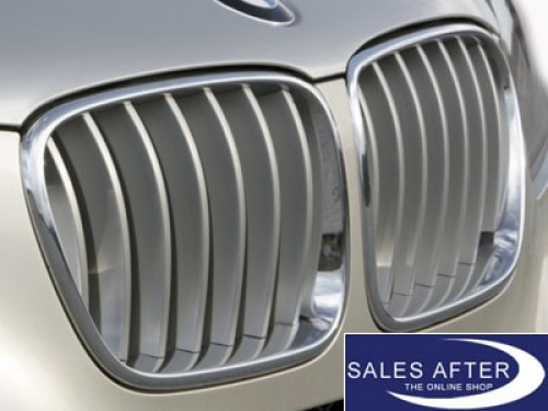 BMW X3 F25 front grille in titanium