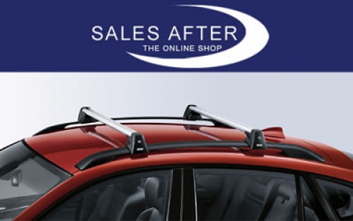 BMW base support system X6 E71 with roof railing