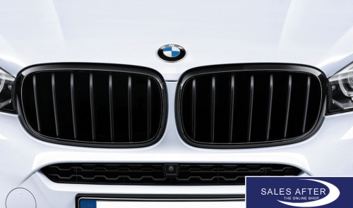 BMW M Performance X5 F15 X6 F16 Front grille in black